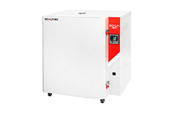 Сушильный шкаф с принудительной конвекцией BGG-248