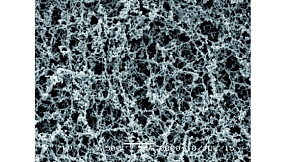 Мембранные фильтры из Ацетат Целлюлозы,  0,22 мкм, ⌀ 90 мм