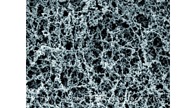 Мембранные фильтры из Ацетат Целлюлозы,  1,2 мкм, ⌀ 142 мм