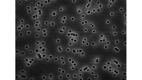 Мембранные фильтры Isopore арт. DTTP04700,  0,6 мкм, ⌀ 47 мм