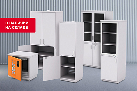 Оперативная поставка: лабораторные шкафы для хранения реактивов, ЛВЖ и посуды в наличии на складе