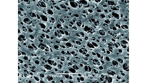 Мембранные фильтры из Нейлона,  1,2 мкм, ⌀ 47 мм, с сеткой