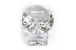 Компания «МИЛЛАБ» стала лучшим дилером Miele